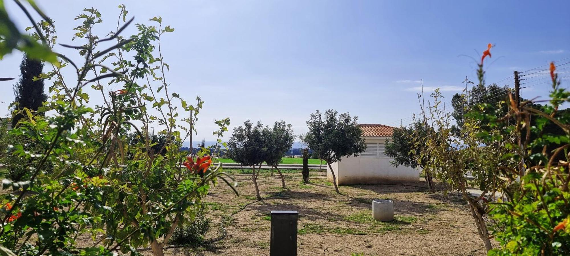 Shanti Paphos Villa Ngoại thất bức ảnh