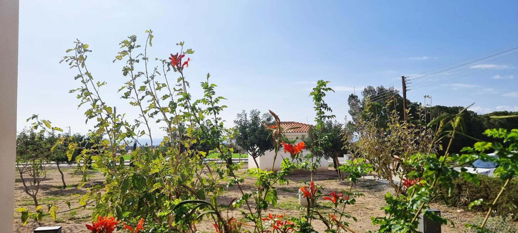 Shanti Paphos Villa Ngoại thất bức ảnh